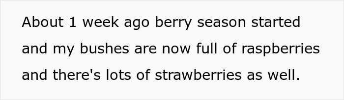 “WIBTA For Planting Prickly Bushes In My Front Yard To Keep The Neighbors’ Kids From My Property?”