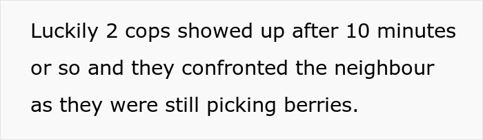 “WIBTA For Planting Prickly Bushes In My Front Yard To Keep The Neighbors’ Kids From My Property?”