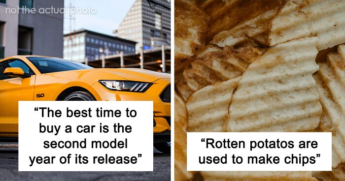 82 Juicy And Surprising Secrets People Have Shared About The Industry They Work In