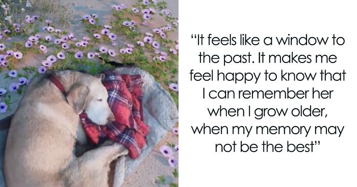 This Man Created A Virtual Beach Scene To Be Able To Reunite With His Labrador Who Passed Away