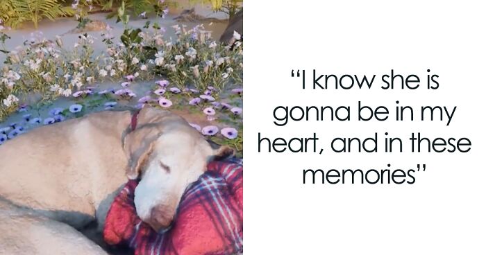 This Man Found A Beautiful Way To Relive The Final Memory With His Dog Who Passed Away