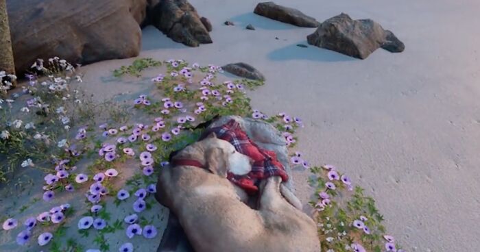 This Man Regularly Visits A Virtual Beach He Created To Be Able To Reunite With His Dog