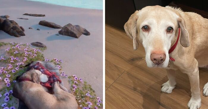 This Man Found A Beautiful Way To Relive The Final Memory With His Dog Who Passed Away