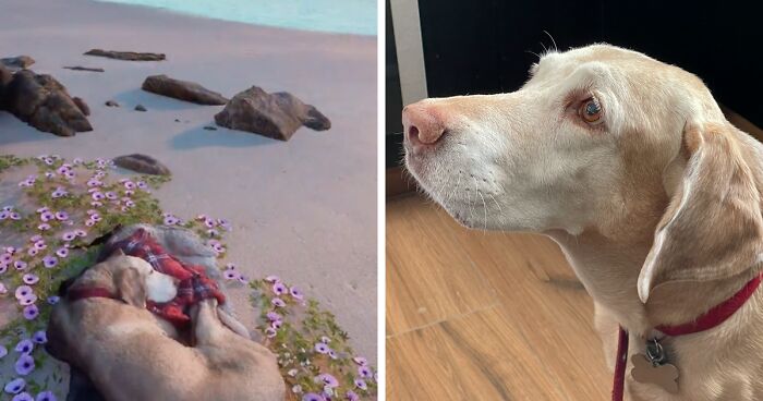 This Man Found A Beautiful Way To Relive The Final Memory With His Dog Who Passed Away