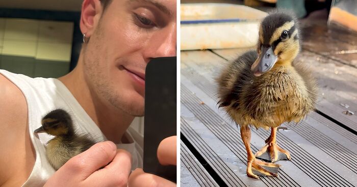 Man Found An Abandoned Egg And Decided To Take It Home, Hatching A New Friendship