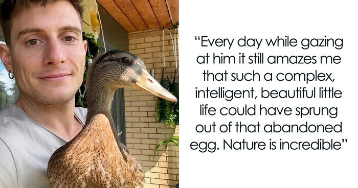 Man Found An Abandoned Egg And Decided To Take It Home, Hatching A New Friendship