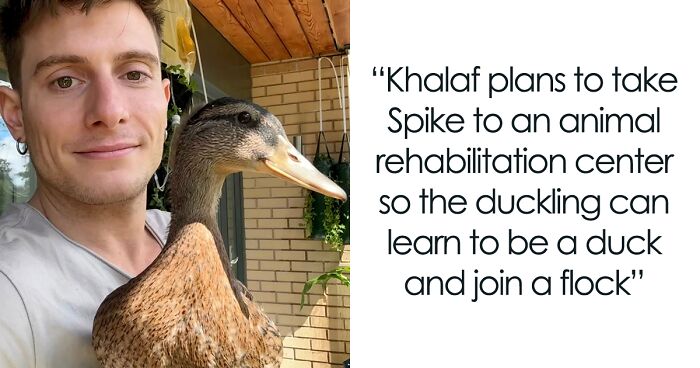 Riyadh Khalaf Rescued A Duck Egg, Leading To A Heartwarming Adventure