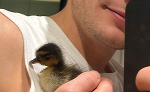 This Man Saved A Lost Duck Egg And Hatched A New Friendship