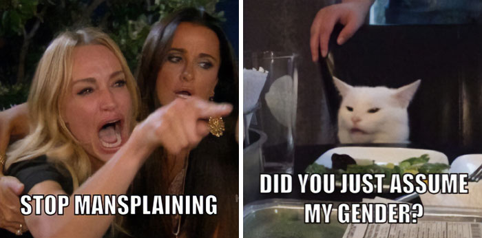 A mansplaining meme featuring a woman yelling "STOP MANSPLAINING" on the left and a white cat with a confused look saying, "DID YOU JUST ASSUME MY GENDER?" on the right.