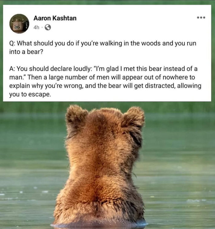 A mansplaining meme suggesting if you meet a bear, say, "I'm glad I met this bear instead of a man," as men will appear to explain, distracting the bear.