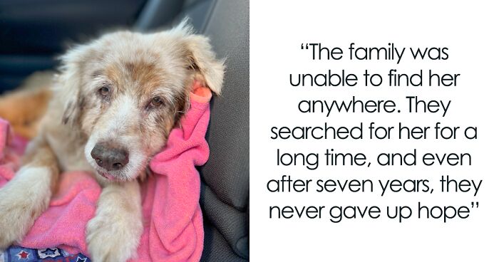 People Are In Tears After This Dog Is Finally Reunited With Her Owner After 7 Years