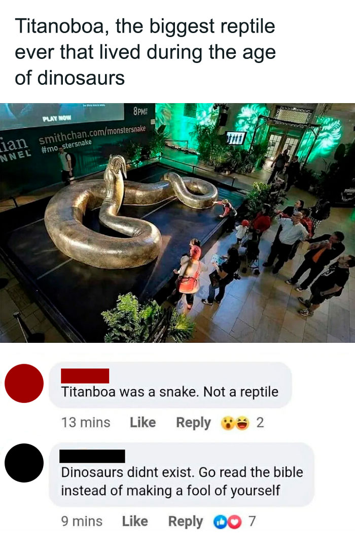 Exhibit of Titanoboa with comments showcasing overly confident, incorrect people about reptiles and dinosaurs.