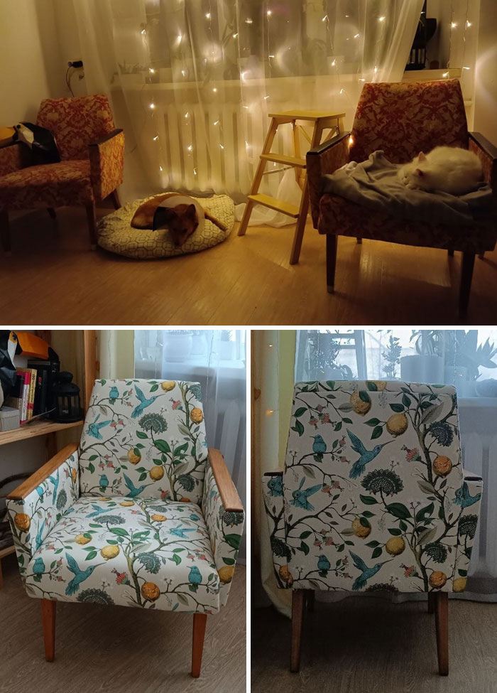 Restored vintage chairs with floral upholstery in a cozy room with fairy lights and pets resting nearby.