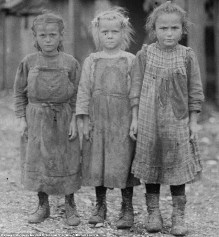 Young Girls Working At An Oyster (Shucking) Processing Plant, 1912