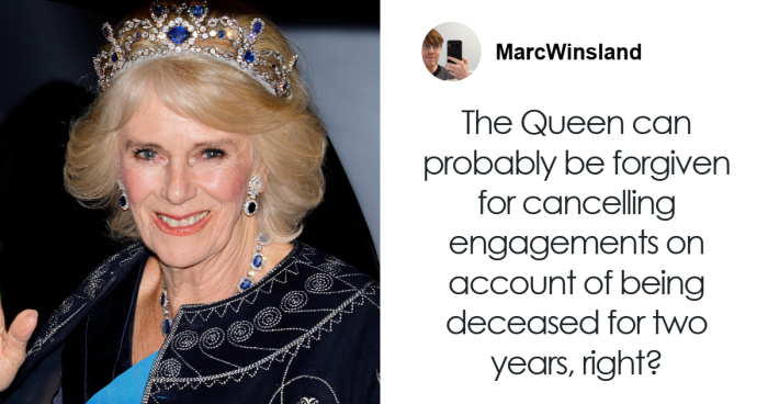 People Are Furious At Buckingham Palace Over Queen Camilla's Health Update: 