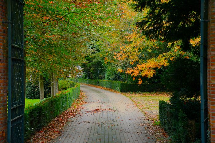 A luxurious tree-lined driveway with vibrant autumn foliage, indicating wealth.