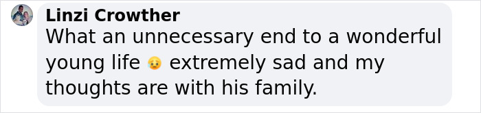 "So Heartbreaking": Vet Ends His Life After Rich Owners Neglected Pets And Demanded Euthanasia