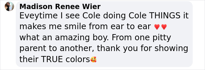 Comment praising a therapy dog named Cole, highlighting his amazing behavior.