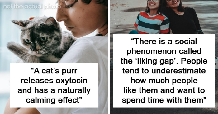 57 People Reveal Reassuring Things That Could Help You Feel Better Today