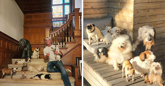 Retiree Devotes His Life To Caring For Senior Dogs In Need Of A Loving Home