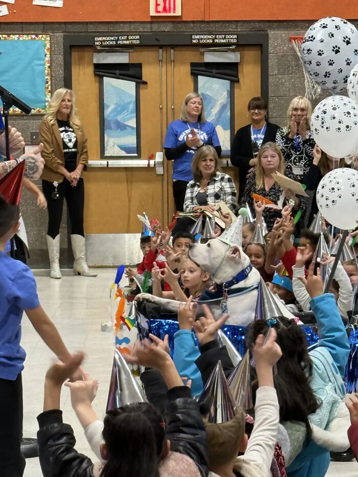 Netizens Are In Tears As These School Kids Learn Sign Language For Their Deaf Therapy Dog’s B-Day