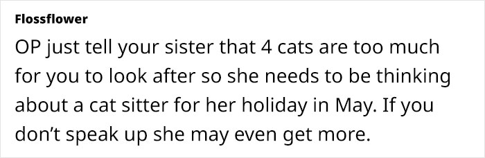 "[Am I Being Unreasonable] To Not Want To Look After My Sister's 4 Cats?"