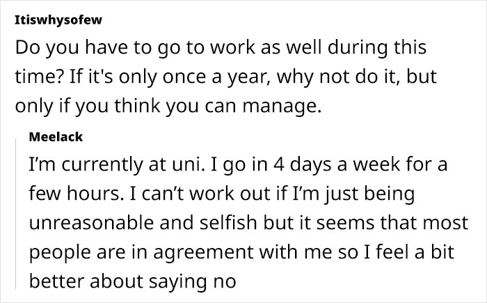 "[Am I Being Unreasonable] To Not Want To Look After My Sister's 4 Cats?"