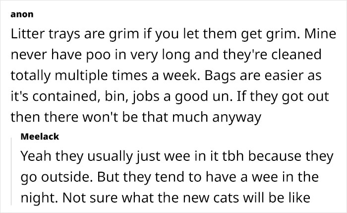 "[Am I Being Unreasonable] To Not Want To Look After My Sister's 4 Cats?"