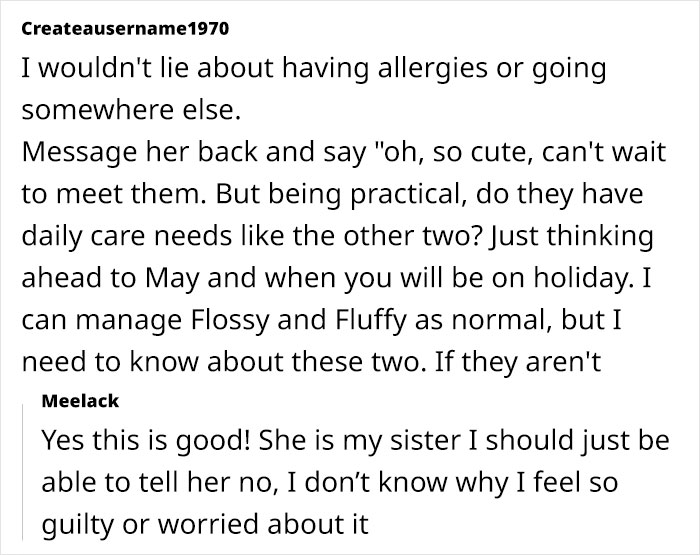 "[Am I Being Unreasonable] To Not Want To Look After My Sister's 4 Cats?"