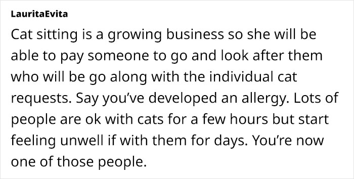 "[Am I Being Unreasonable] To Not Want To Look After My Sister's 4 Cats?"