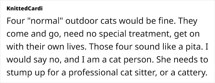 "[Am I Being Unreasonable] To Not Want To Look After My Sister's 4 Cats?"