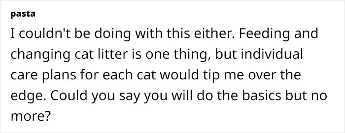 "[Am I Being Unreasonable] To Not Want To Look After My Sister's 4 Cats?"