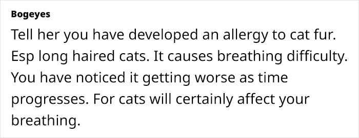 "[Am I Being Unreasonable] To Not Want To Look After My Sister's 4 Cats?"