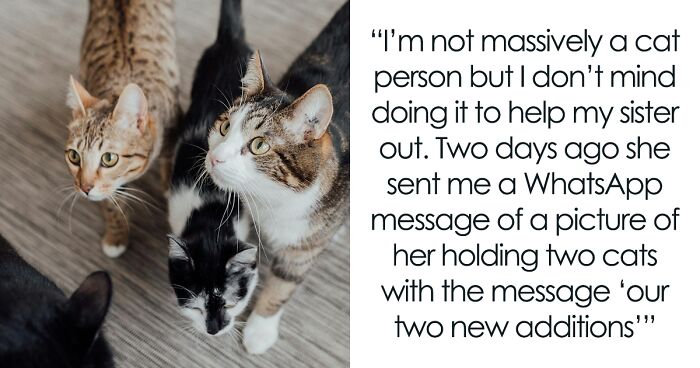 Woman Assumes Sis Will Look After Her 4 Cats While She's On Holiday, But She Doesn't Want To