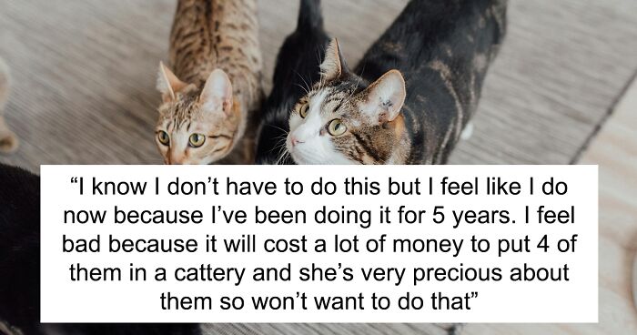 Woman Assumes Sis Will Look After Her 4 Cats While She's On Holiday, But She Doesn't Want To