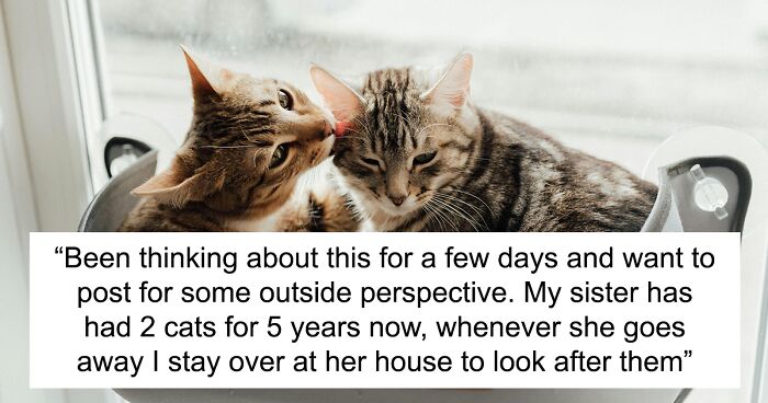 Lady Expects Sister To Watch Her 4 Cats While She's On Holiday, But She's Unwilling To Do So