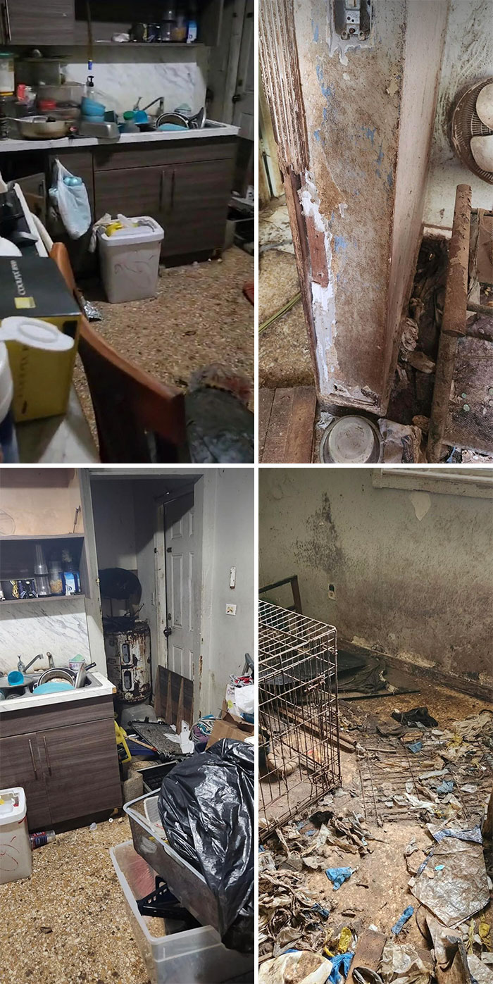 Tenants Destroy Rental Unit After Evicted