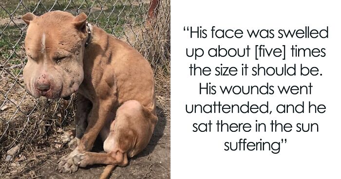 Meet Marco, Who Celebrates His Life That He Almost Wasn’t Able To Live