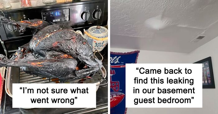 71 Unlucky People Who Had A Worse Thanksgiving Day Than You (New Pics)