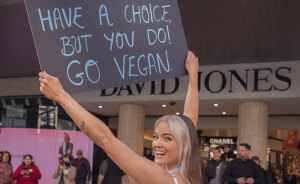 Notorious Vegan Activist Loses Defamation Case After Accusing Vet Of “Eating” Her Patients