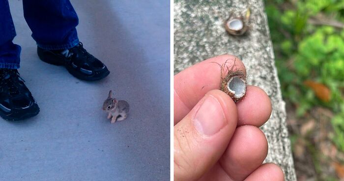 “Things For Ants”: 80 Surprisingly Tiny Objects Shared On This Online Group