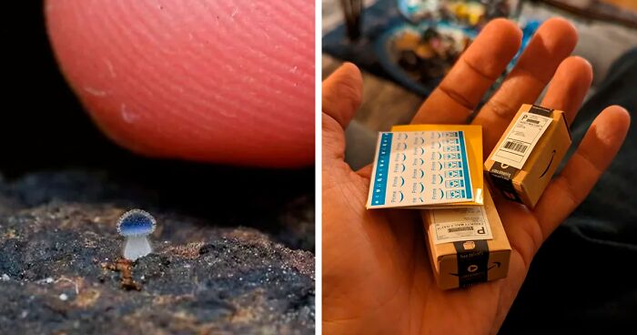 “What Is This, A Group For Ants?”: 80 Mini Versions Of Normal Things 