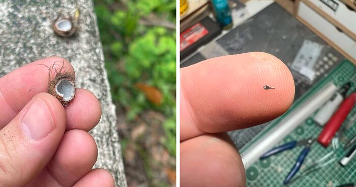 Size Matters: 80 Cute Pics Of Miniature Things Shared In This Dedicated Group