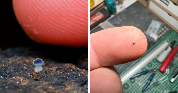 80 Pics Of Miniature Things, As Shared By This Dedicated Online Group