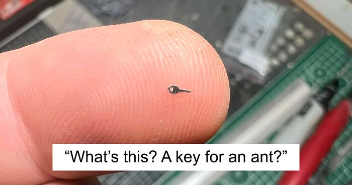 “What Is This, A Group For Ants?”: 80 Pics Of Mini Objects, Shared By This Online Group