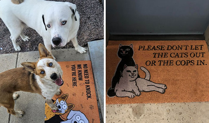 People Got Creative With Their Doormats And Here Are 67 Of The Best Ones