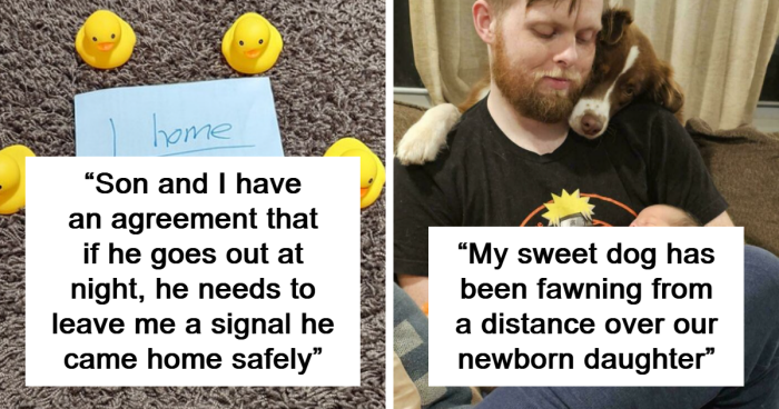 100 Times People Made Each Other’s Day By Sharing Positive And Wholesome Pics Online (New Pics)