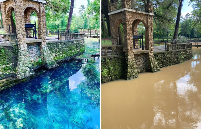 I Drove 4 Hours (One Way) To See Radium Springs, One Of The State Of Georgia’s Natural Wonders . . . After A Heavy Rainfall