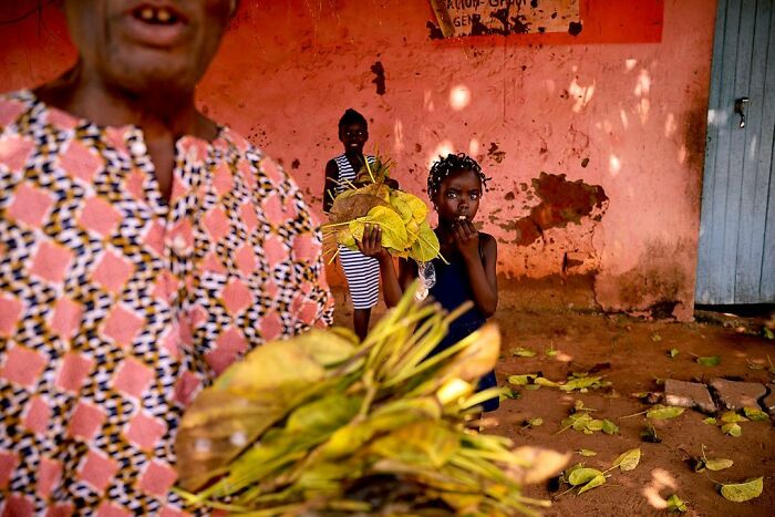 Vibrant photograph by Ivan Margot showing people holding leaves against a warm-toned wall.