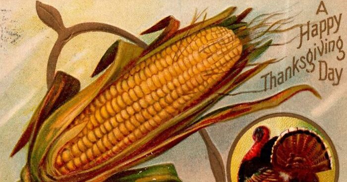 34 Vintage Thanksgiving Postcards To Take You Straight Back To Old Times